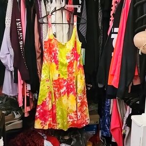 New American Living Dress  16